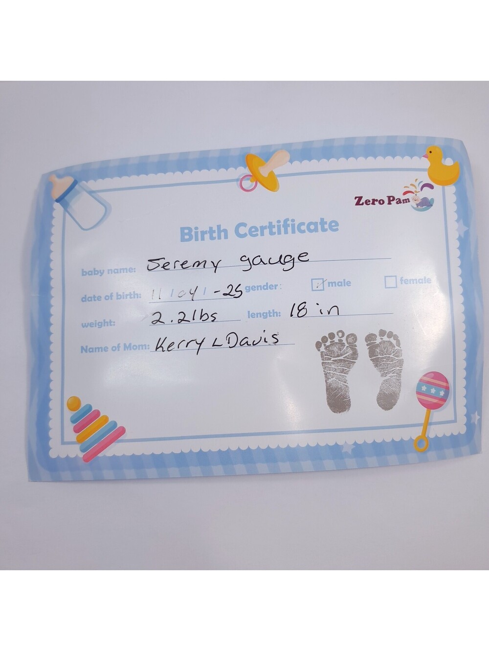 Zero Pam Birth Certificate for Reborn Dolls Lifelike Baby Doll Replacement
